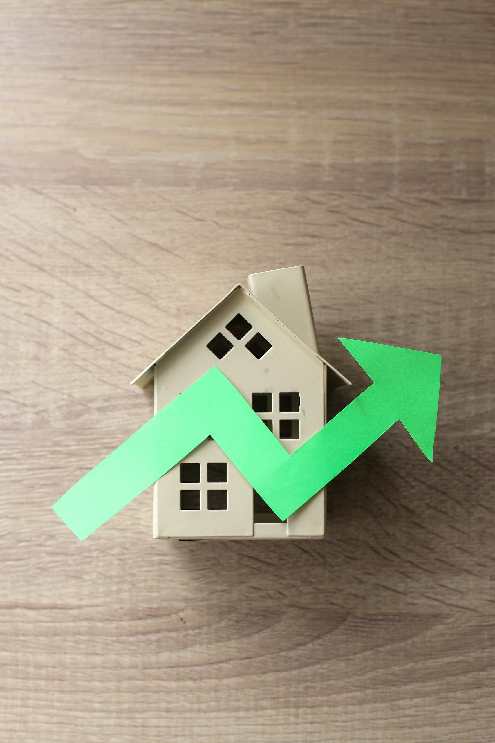 0800 Immoinvest: Maßgeschneiderte Lösungen für Investoren